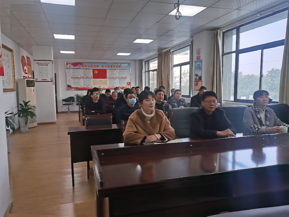 桐城市房地產(chǎn)開發(fā)公司組織觀看《榜樣6》