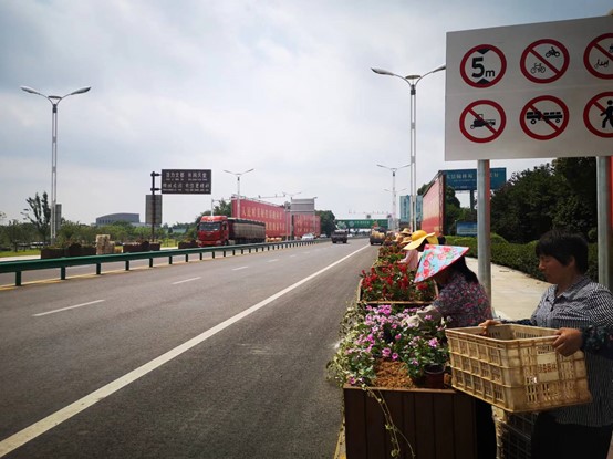 為美化城市天正園林公司抓緊更換花草